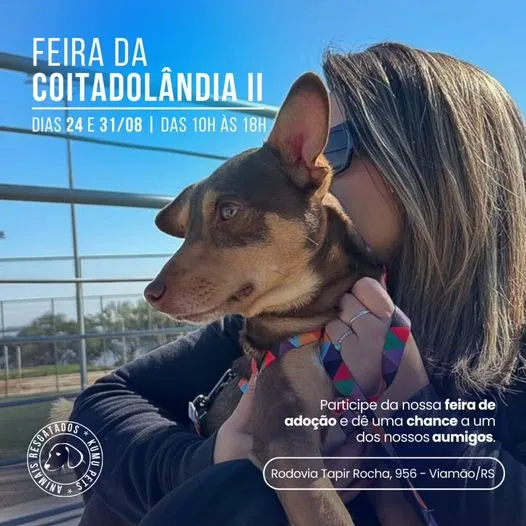 Encontre seu Novo Melhor Amigo na Feira da Coitadolândia II!