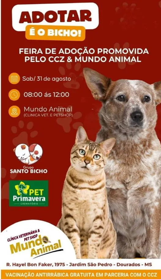 Grande Feira de Adoção de Animais em Dourados – Encontre seu Novo Amigo!