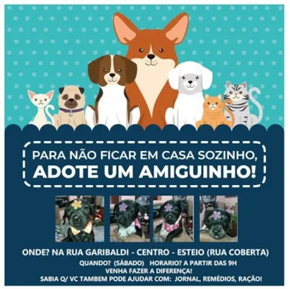 Adote um Amiguinho e Preencha seu Lar com Alegria!