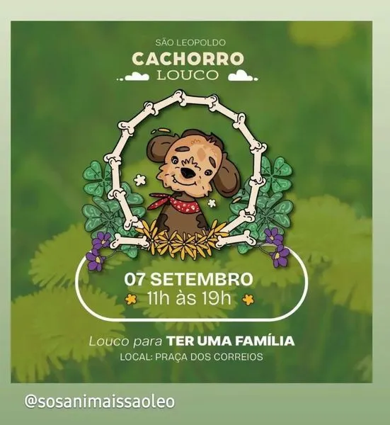 Feira de Adoção em São Leopoldo: Encontre seu Novo Amigo!