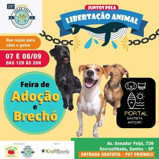 Feira de Adoção e Brechó em Santos: Encontre seu Novo Amigo!