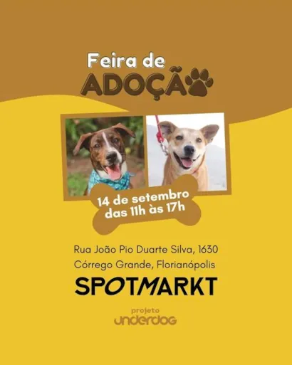 Amor Peludo Espera por Você na Feira de Adoção em Florianópolis!