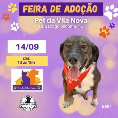 Feira de Adoção: Encontre seu Novo Melhor Amigo!