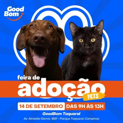 Feira de Adoção Pet: Encontre seu Novo Melhor Amigo!