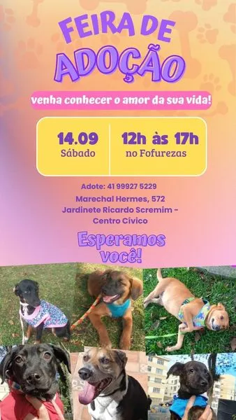 Encontre seu novo melhor amigo na Feira de Adoção em Curitiba no dia 14 de setembro. Adote um pet vacinado e preparado para ser feliz ao seu lado!