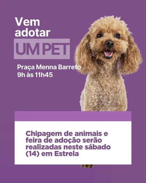 Feira de Adoção de Animais em Estrela: Encontre seu Novo Melhor Amigo!