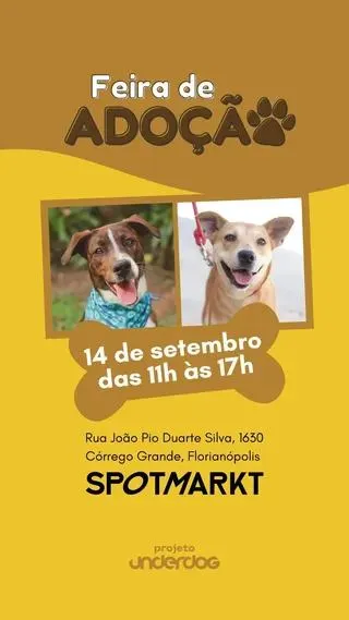 Feira de Adoção: Encontre seu Novo Amigo em Florianópolis!