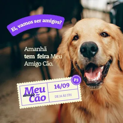 Feira de Adoção Meu Amigo Cão em Ipatinga: Encontre seu Novo Melhor Amigo!