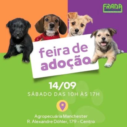 Feira de Adoção de Animais: Encontre seu Novo Melhor Amigo!