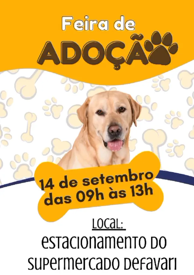 Amor espera por você na Feira de Adoção de Animais em Rio das Pedras!