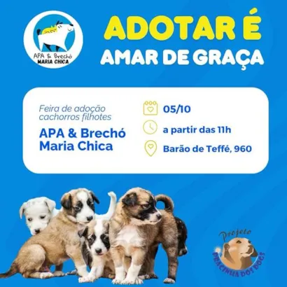 Adote um Amigo Peludo: Feira de Adoção em Jundiaí!