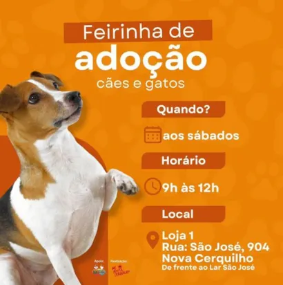 Feirinha de Adoção em Cerquilho: Encontre seu Novo Melhor Amigo!