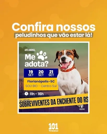 Feira de Adoção Pet: Encontre seu Novo Melhor Amigo!