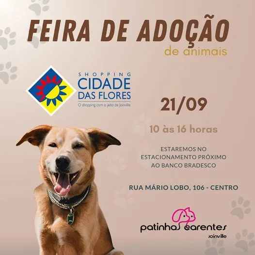 Feira de Adoção no Shopping Cidade das Flores em Joinville!