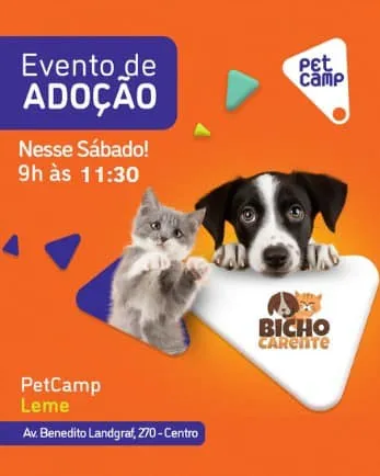 Encontre Seu Novo Melhor Amigo no Evento de Adoção PetCamp!