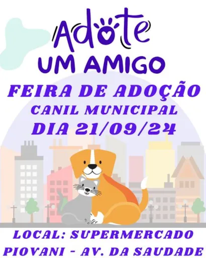 Adote um Amigo: Sua chance de encontrar o amor de quatro patas!