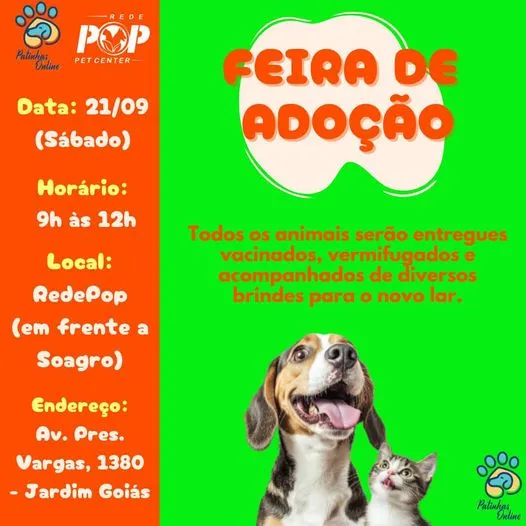 Feira de Adoção em Rio Verde: Encontre seu Novo Amigo!