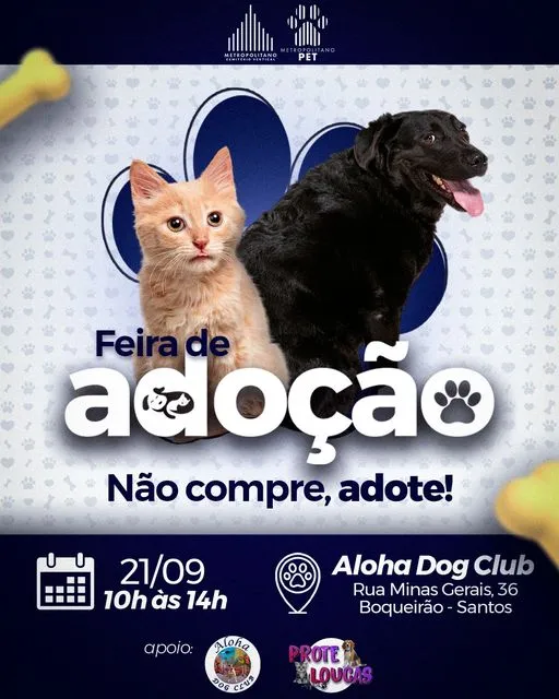 Feira de Adoção de Animais em Santos: Encontre seu Novo Amigo!