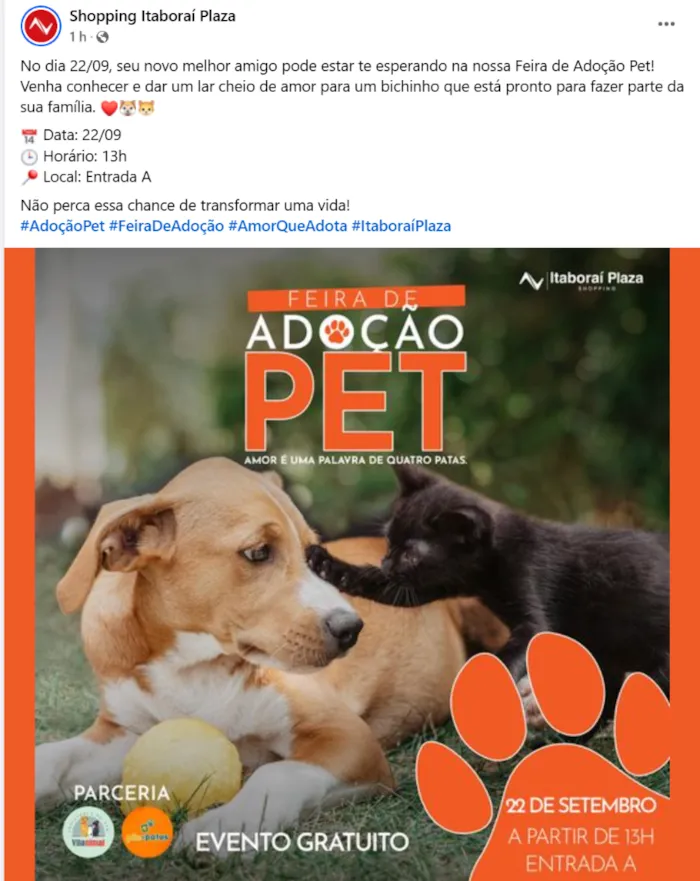 Feira de Adoção Amor de Quatro Patas no Itaboraí Plaza!