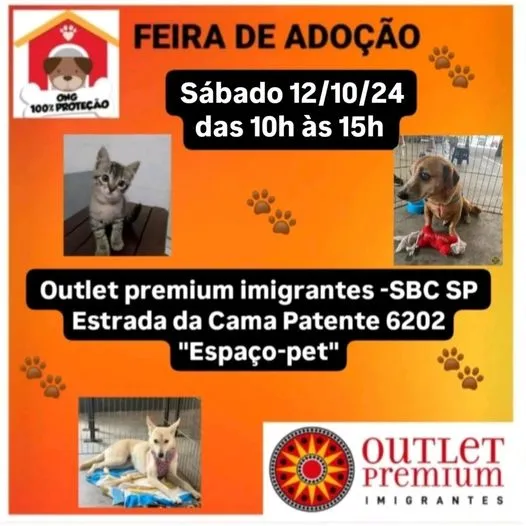 Amor e Lar Novo: Feira de Adoção Animal em São Bernardo!