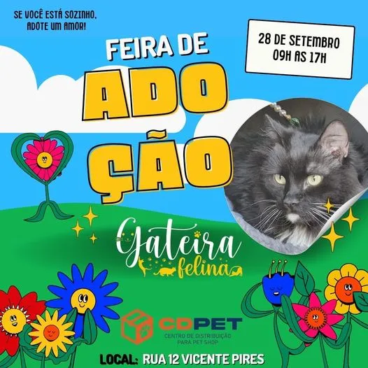 Feira Felina de Adoção - Encontre Seu Novo Amigo!