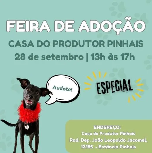 Feira Especial de Adoção de Animais em Pinhais – Encontre seu Novo Amigo!