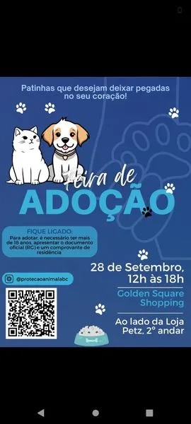 Feira de Adoção de Patinhas: Encontre seu Novo Amigo!