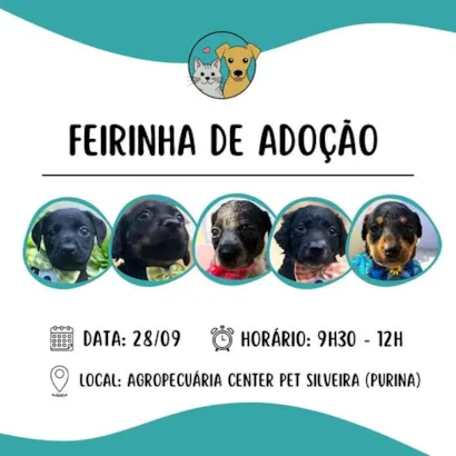 Feirinha de Adoção em Tietê - Um amigo espera por você!