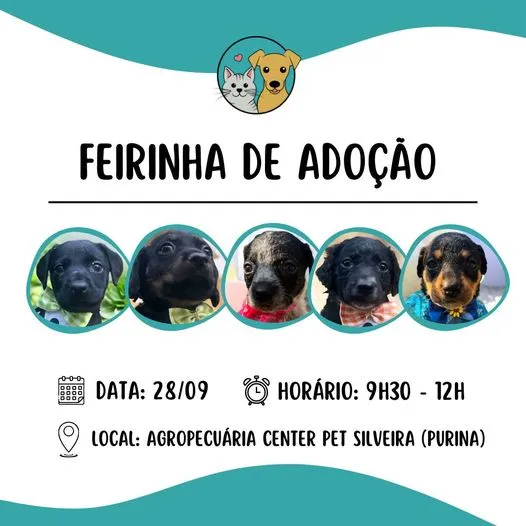 Feirinha de Adoção em Tietê - Um amigo espera por você!