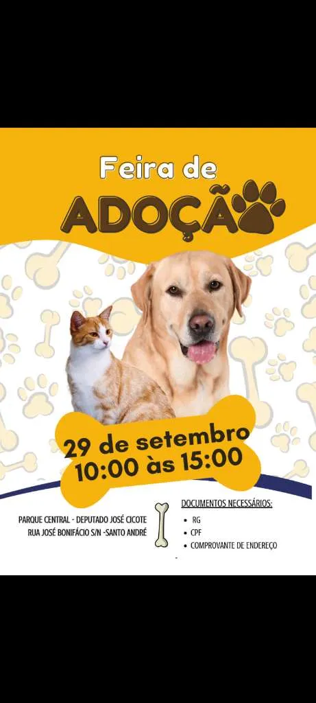 Encontre seu novo amigo na Feira de Adoção de Animais em Santo André! Dia 29 de setembro, das 10h às 15h, no Parque Central. Adote com amor e responsabilidade!