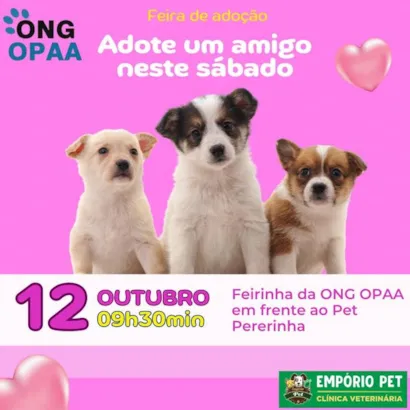 Feira de Adoção de Pets em Arapongas: Encontre seu Novo Melhor Amigo!