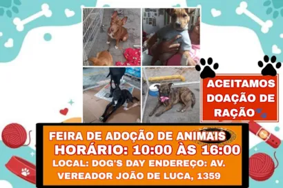 Feira de Adoção de Animais em Francisco Morato: Encontre seu Novo Amigo!