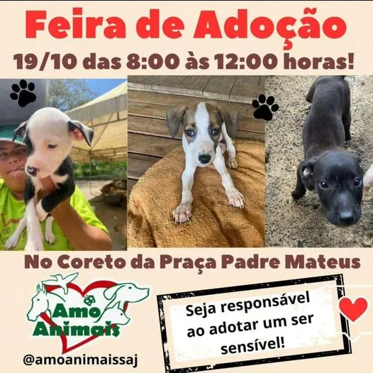 Feira de Adoção de Animais em Santo Antônio - Encontre seu Novo Amigo!