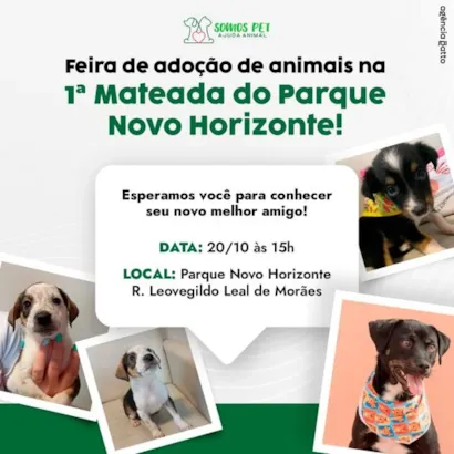 Feira de Adoção de Animais na 1ª Mateada do Parque Novo Horizonte!