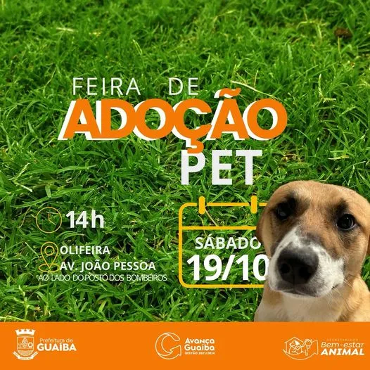 Adote seu novo amigo na Feira de Adoção de Pets em Guaíba! Venha na Olífera, Av. João Pessoa, a partir das 14h e conquiste um coração peludo.