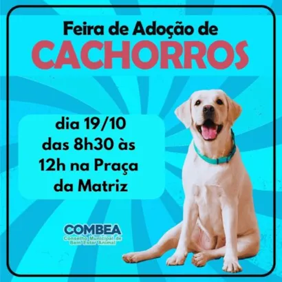 Adote um Amigo! Feira de Adoção Canina em Santa Cruz das Palmeiras