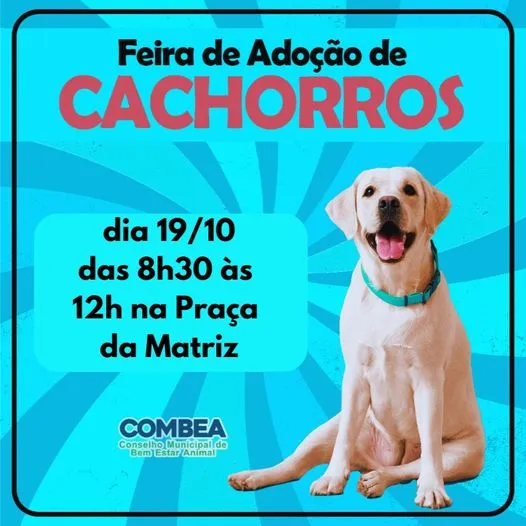 Adote um Amigo! Participe da Feira de Adoção Canina em Santa Cruz das Palmeiras no dia 19 de outubro, das 8h30 às 12h, e encontre seu novo pet!