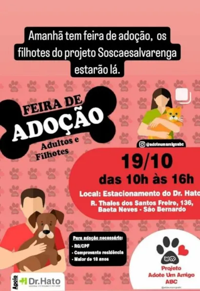 Feira de Adoção em São Bernardo: Encontre seu Novo Melhor Amigo!