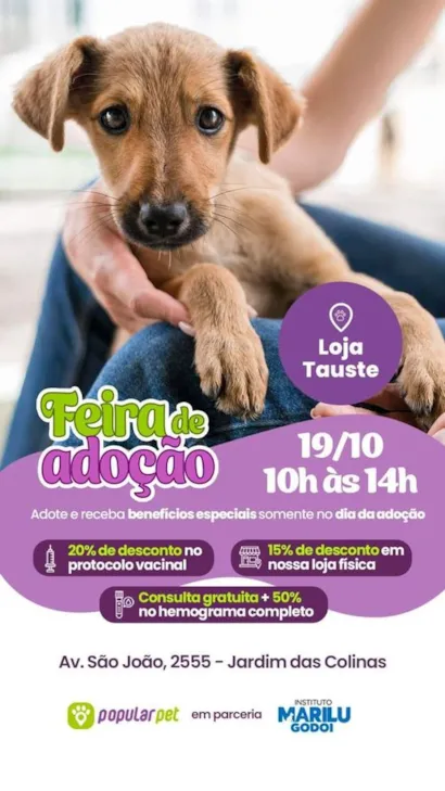 Feira de Adoção em São José dos Campos: Encontre seu Novo Melhor Amigo!