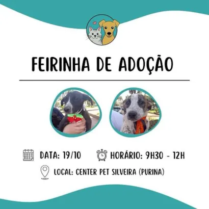 Venha Encontrar seu Novo Melhor Amigo no Tietê!