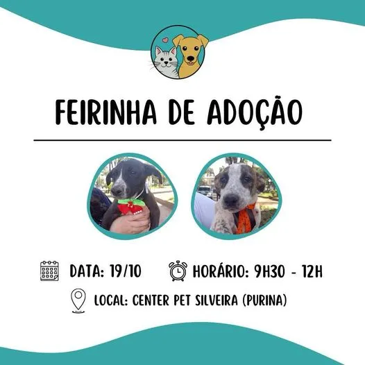 Venha Encontrar seu Novo Melhor Amigo no Tietê!