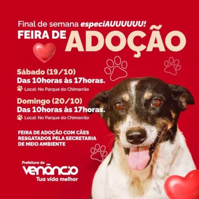 Final de Semana Especial de Adoção! Encontre seu novo amigo!