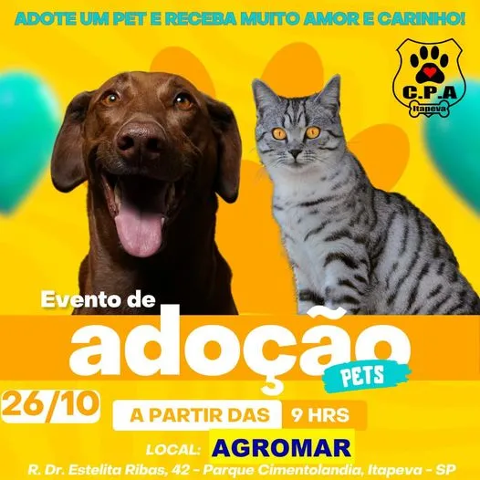 Grandioso Evento de Adoção de Pets em Itapeva – Encontre seu novo amigo!