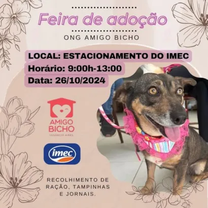 Encontre seu novo melhor amigo na Feira de Adoção Amigo Bicho! 