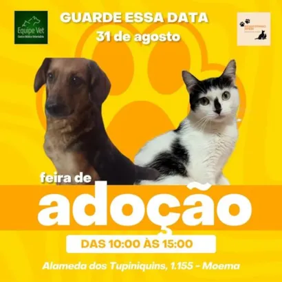 Feira de Adoção: Encontre seu Novo Melhor Amigo!