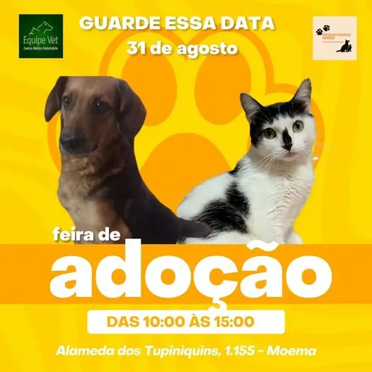 Feira de Adoção: Encontre seu Novo Melhor Amigo!