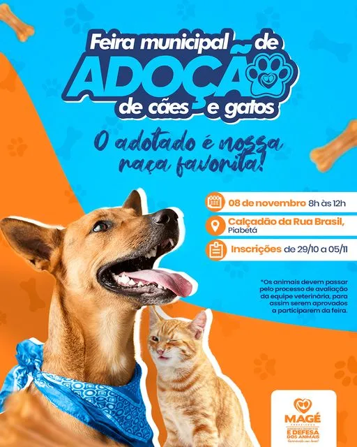 Amor não tem raça: Adote um amigo em Magé!