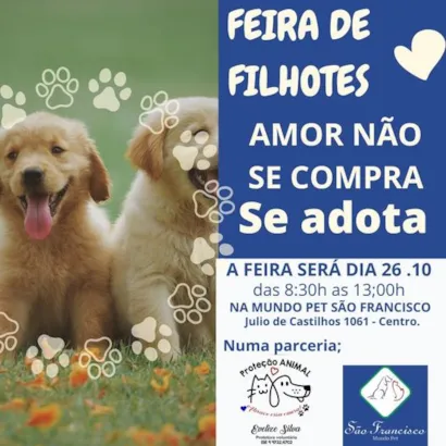 Feira de Filhotes: Encontre seu novo amigo em Cachoeira do Sul!