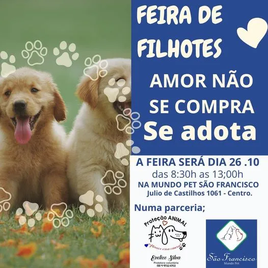 Feira de Filhotes: Encontre seu novo amigo em Cachoeira do Sul!