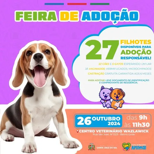 Feira de Adoção em Santa Cruz do Sul: Encontre seu Novo Amigo!